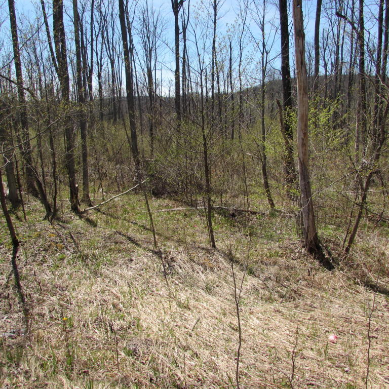 Fallsdale Rd, Tyler Hill, PA 18469