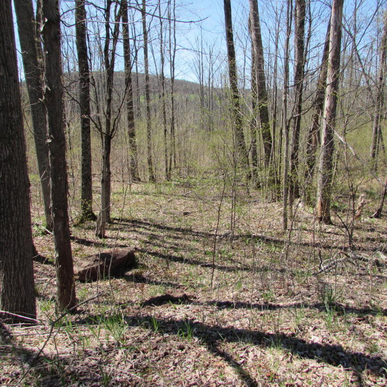 Fallsdale Rd, Tyler Hill, PA 18469