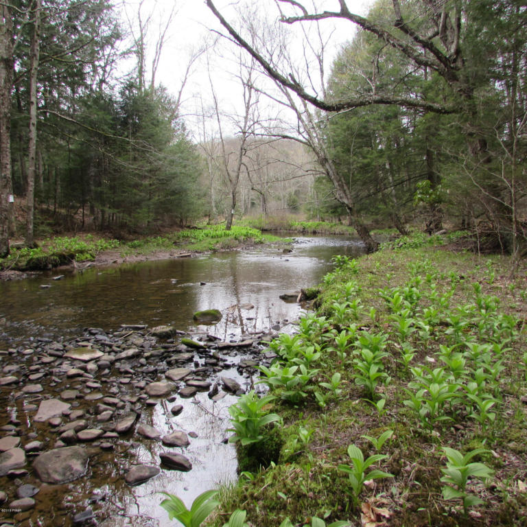 Fallsdale Rd, Tyler Hill, PA 18469