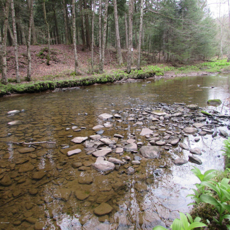 Fallsdale Rd, Tyler Hill, PA 18469