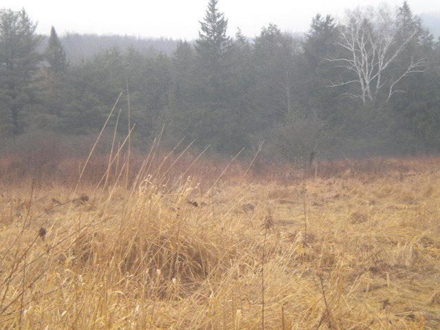 0 State Route 3027, Montrose, PA 18801