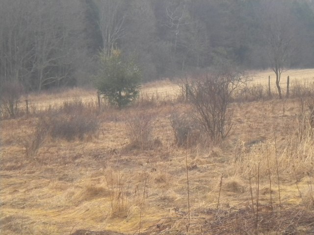 0 State Route 3027, Montrose, PA 18801