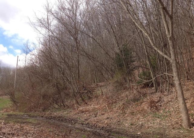 00 New York, Hallstead, PA 18822