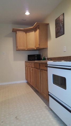 1607 Mountain Rd, Monroeton, PA 18832