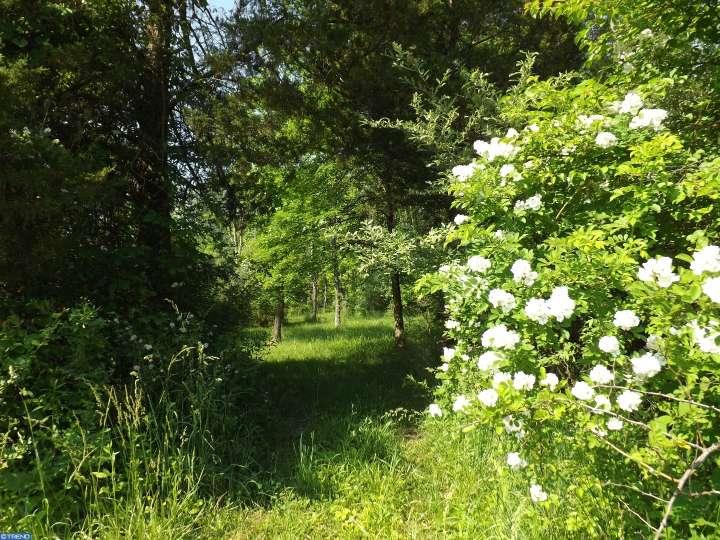 Lot 63Kintner Hill Rd, Upper Black Eddy, PA 18972