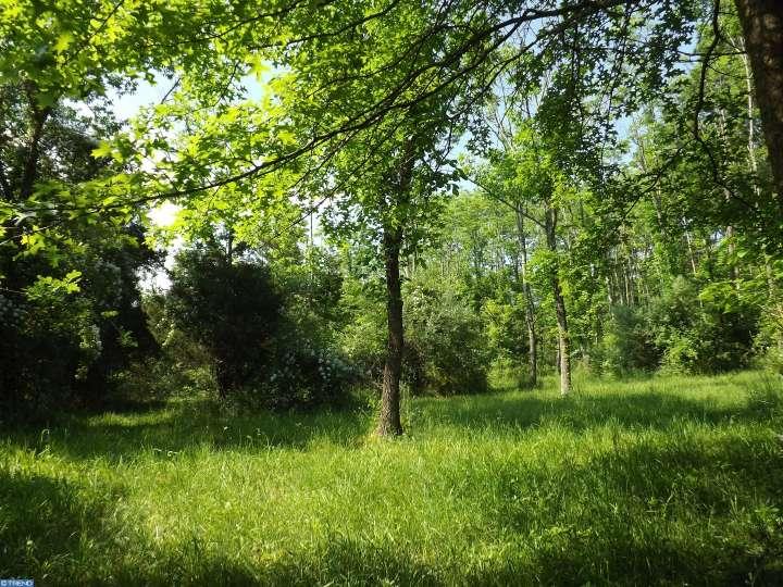 Lot 63Kintner Hill Rd, Upper Black Eddy, PA 18972