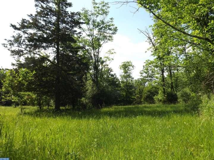 Lot 63Kintner Hill Rd, Upper Black Eddy, PA 18972