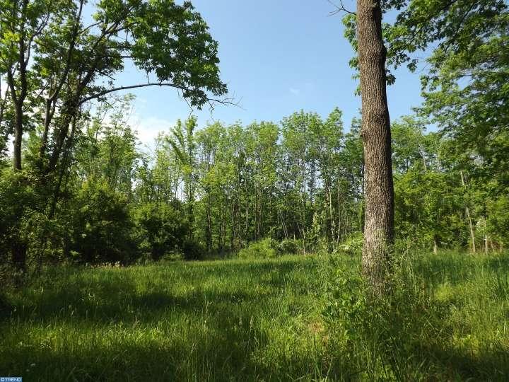 Lot 63Kintner Hill Rd, Upper Black Eddy, PA 18972