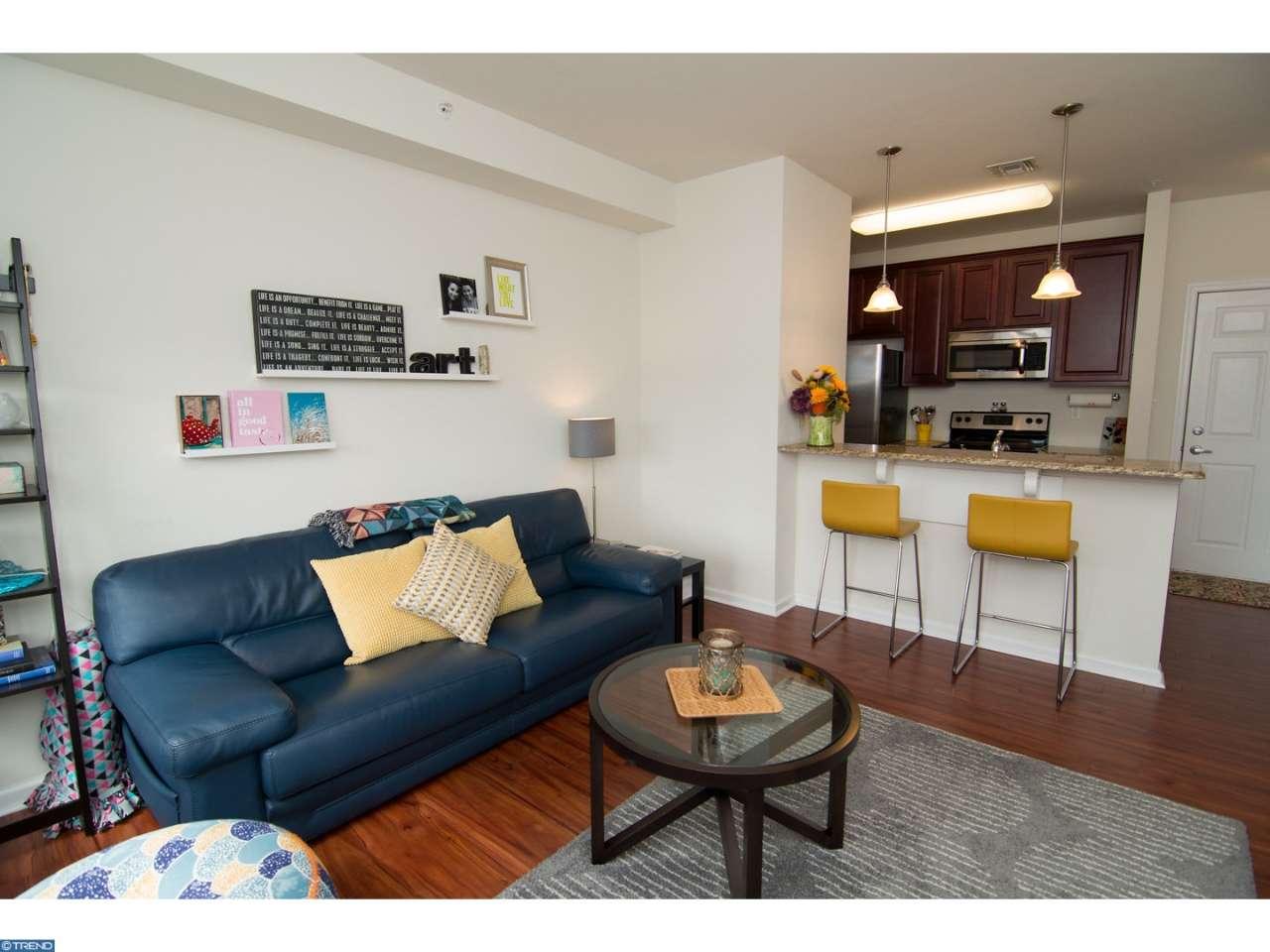 131 PROSPECT ST #203, Phoenixville, PA 19460
