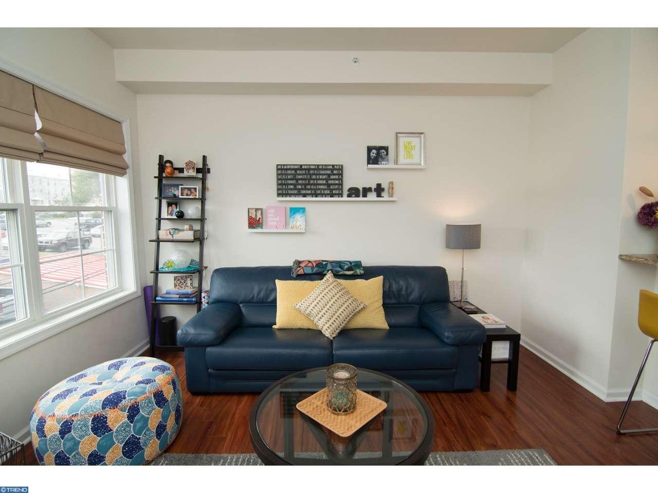 131 PROSPECT ST #203, Phoenixville, PA 19460