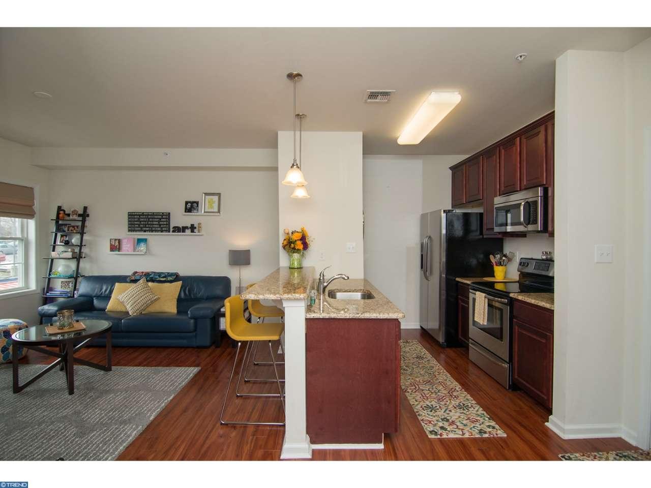 131 PROSPECT ST #203, Phoenixville, PA 19460