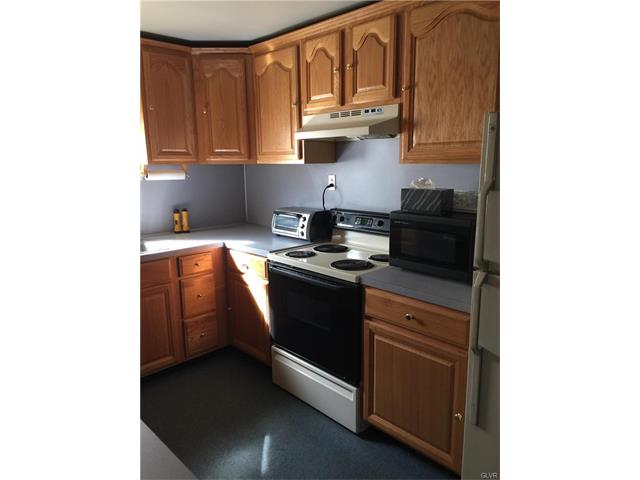 301 South Main Street, Lyons Borough, PA 19536