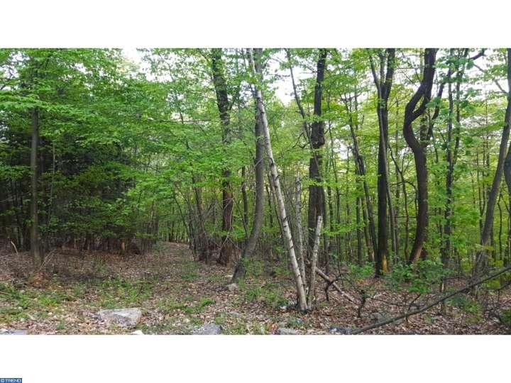 Lot 3GRINGS HILL ROAD, Sinking Spring, PA 19608