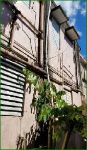 15 Primo Delgado StAdjuntas, PR, 00601Adjuntas County