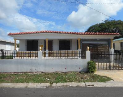 Lot 98 6 St. Arcadio Maldonado CommunitySalinas, PR, 00751Salinas County