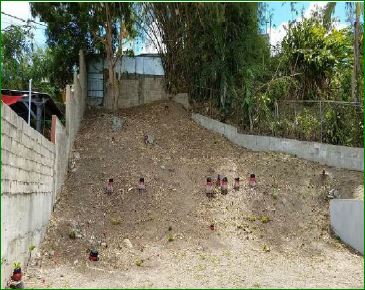 A11 Calle 2San Lorenzo, PR, 00754San Lorenzo County