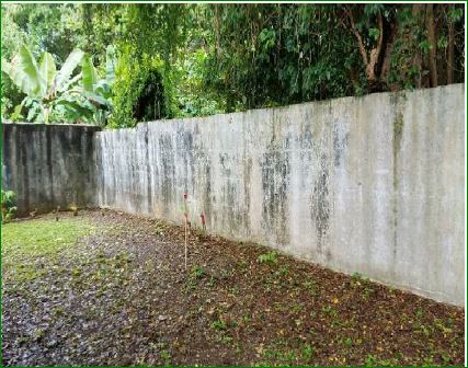 I-12 PalmarenasLoiza, PR, 00772Loiza County