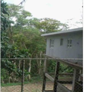 Haciendas Del Dorado A01a CedroDorado, PR, 00953Toa Alta County