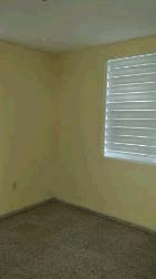 5 Lot Ceiba Comm.Vega Alta, PR, 00692Vega Alta County
