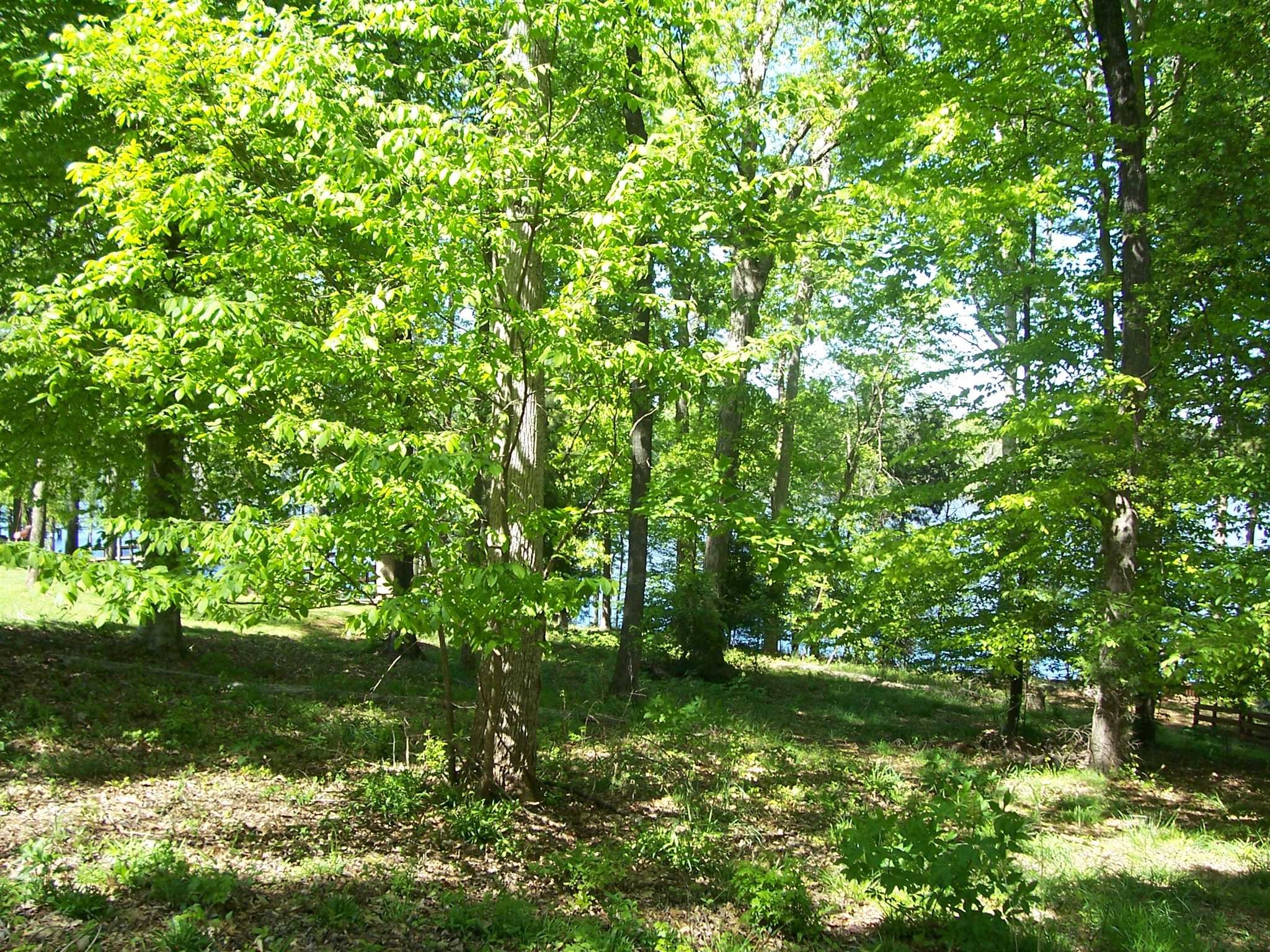 0 Collum Landing Road, Batesburg, SC 29006