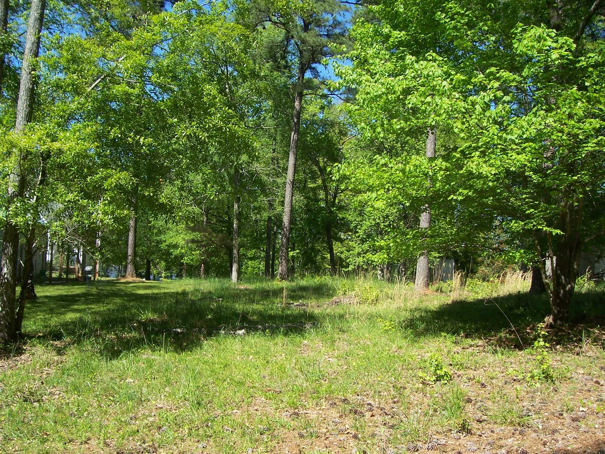 0 Collum Landing Road, Batesburg, SC 29006