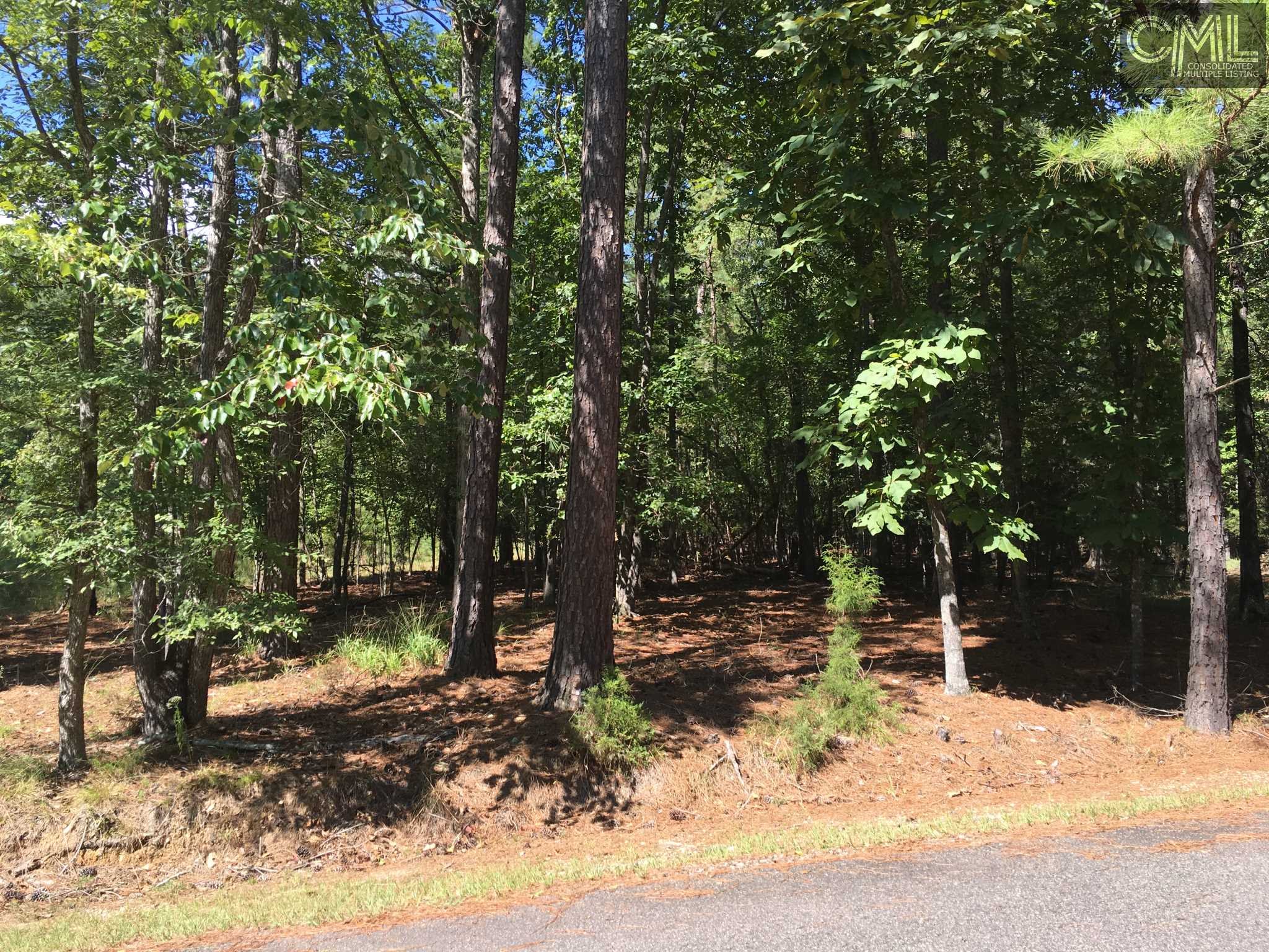 164 TORTOISE Trail, Batesburg, SC 29006