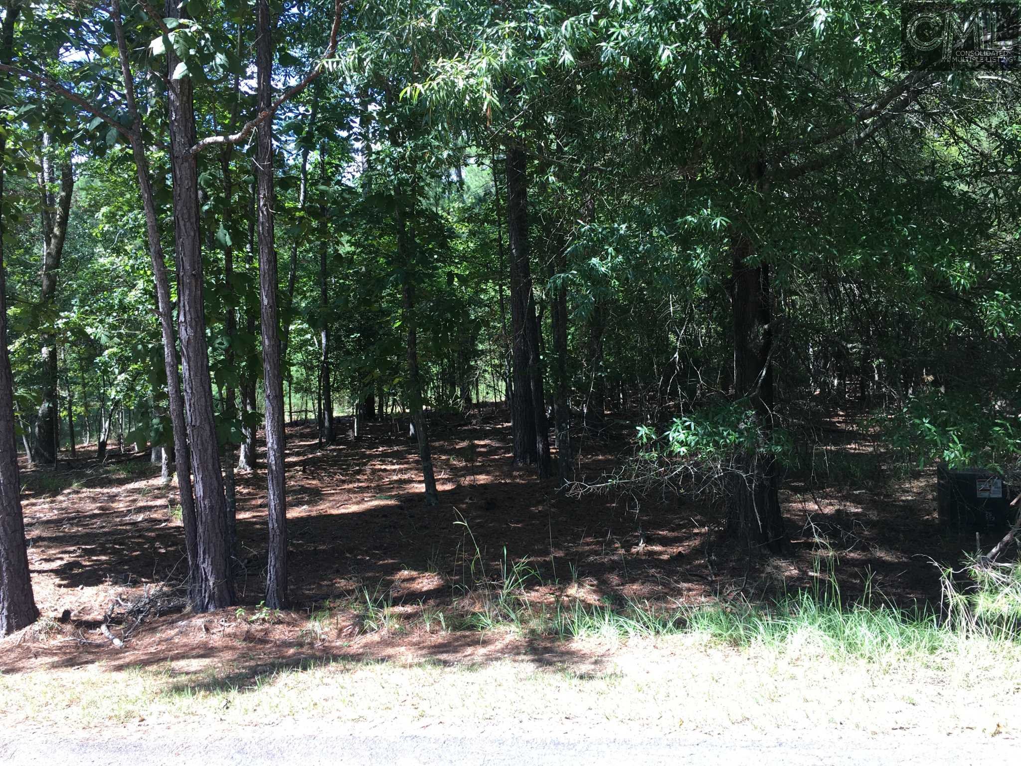164 TORTOISE Trail, Batesburg, SC 29006