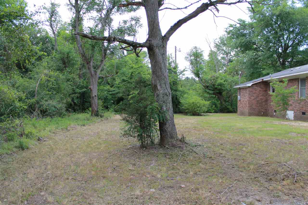 3026 Rochelle Lane, Bethune, SC 29009