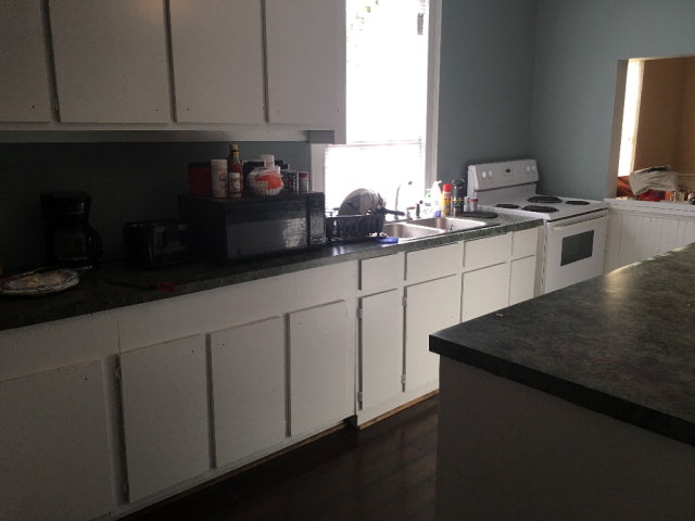 334 N Dennis Ave, Bishopville, SC 29010