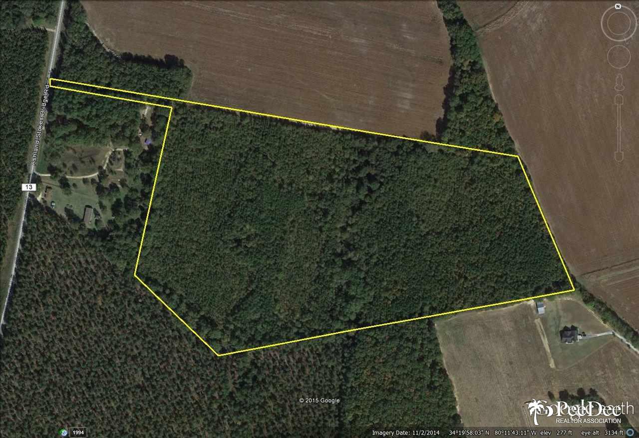 tbd Ashland Stokes Br Rd, Bishopville, SC 29010