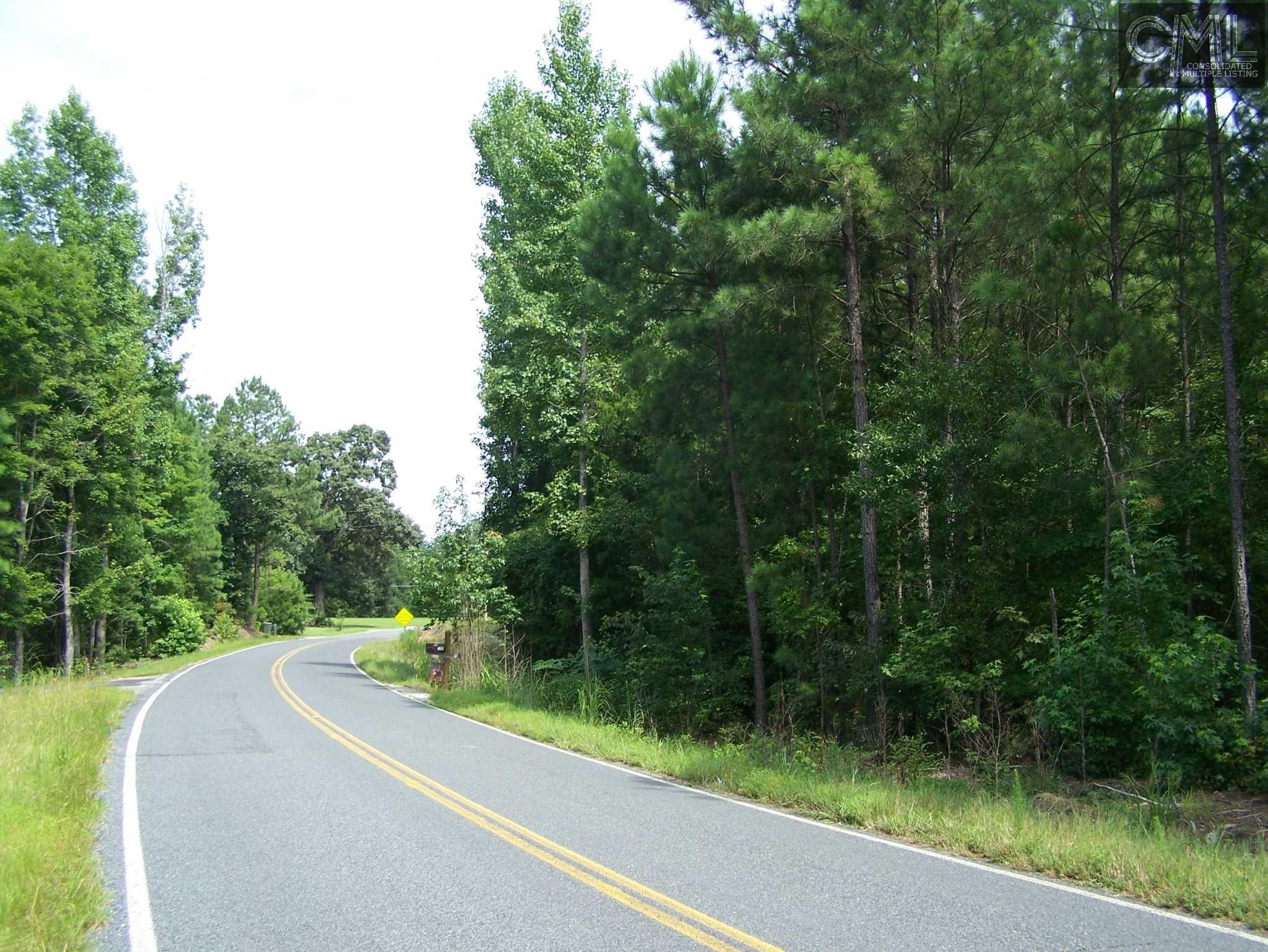 TBD WILDFLOWER Road, Blythewood, SC 29016
