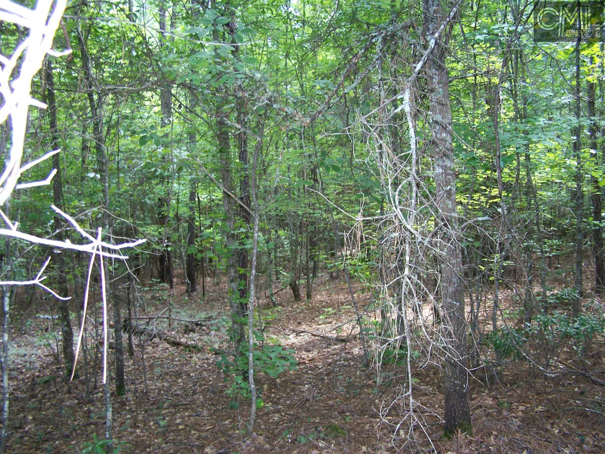 TBD WILDFLOWER Road, Blythewood, SC 29016