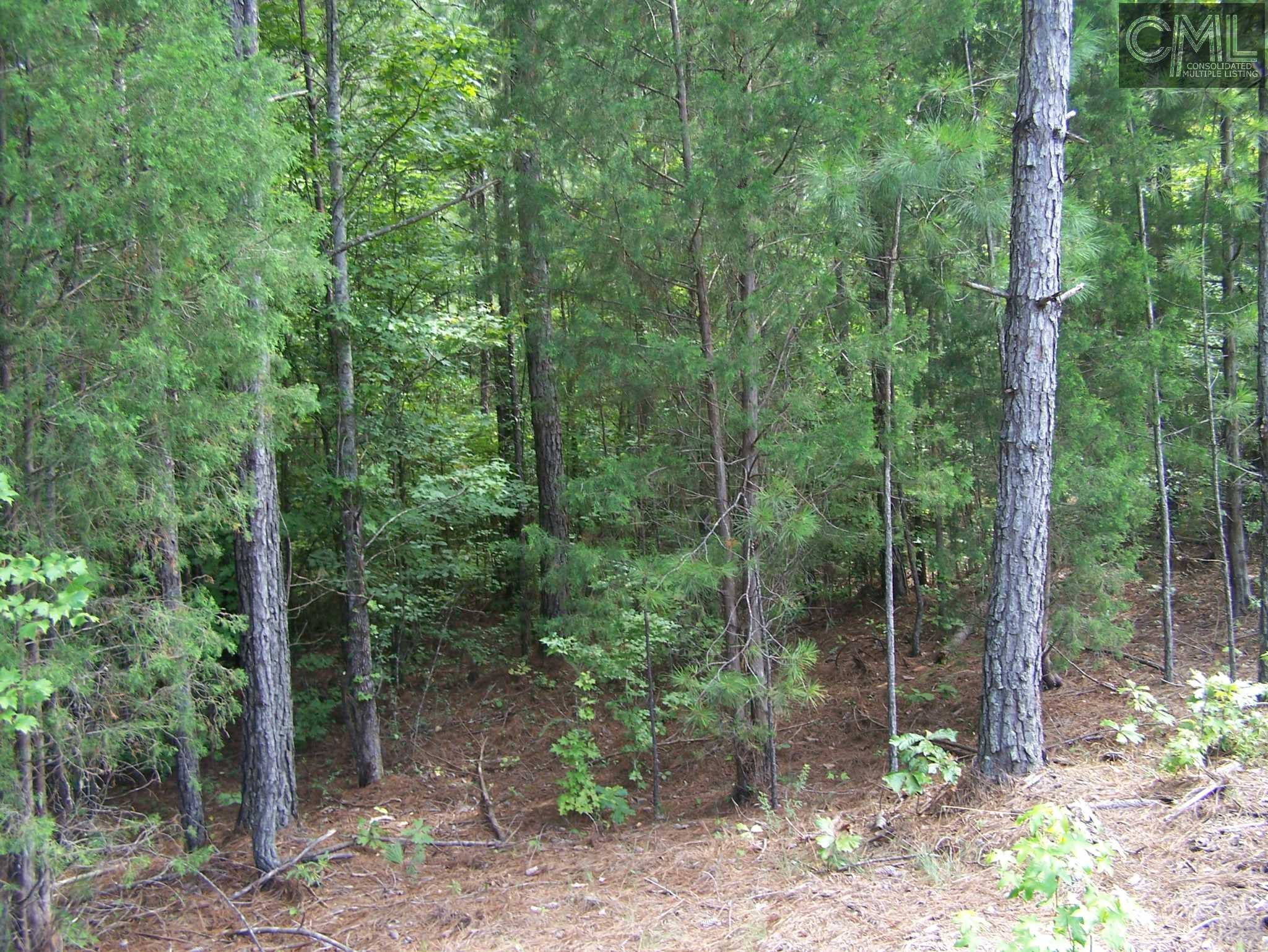 TBD WILDFLOWER Road, Blythewood, SC 29016
