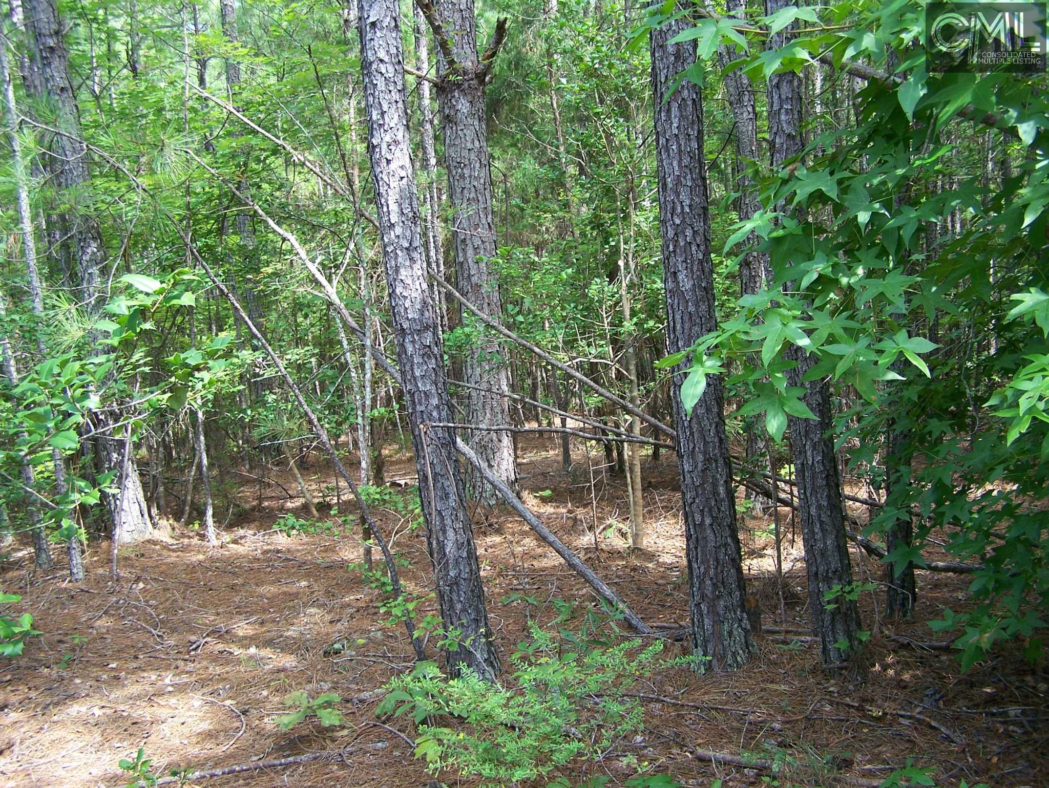 TBD WILDFLOWER Road, Blythewood, SC 29016