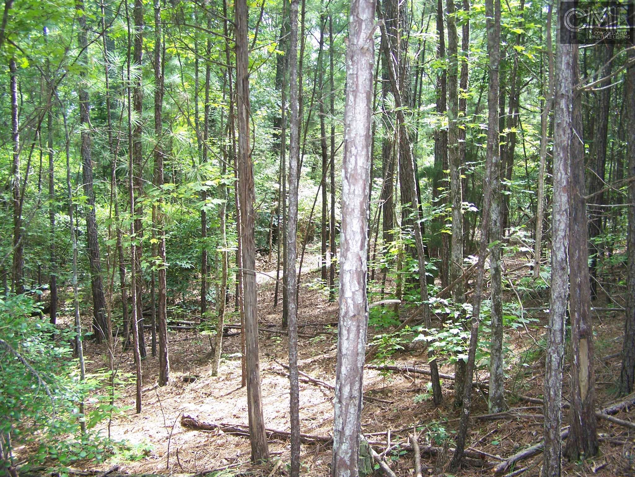 TBD WILDFLOWER Road, Blythewood, SC 29016