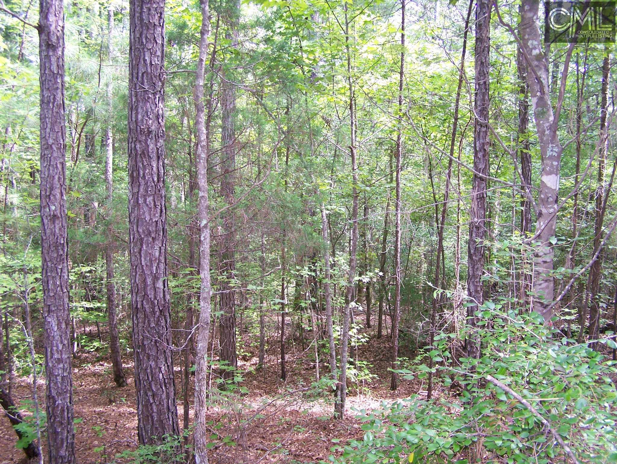 TBD WILDFLOWER Road, Blythewood, SC 29016