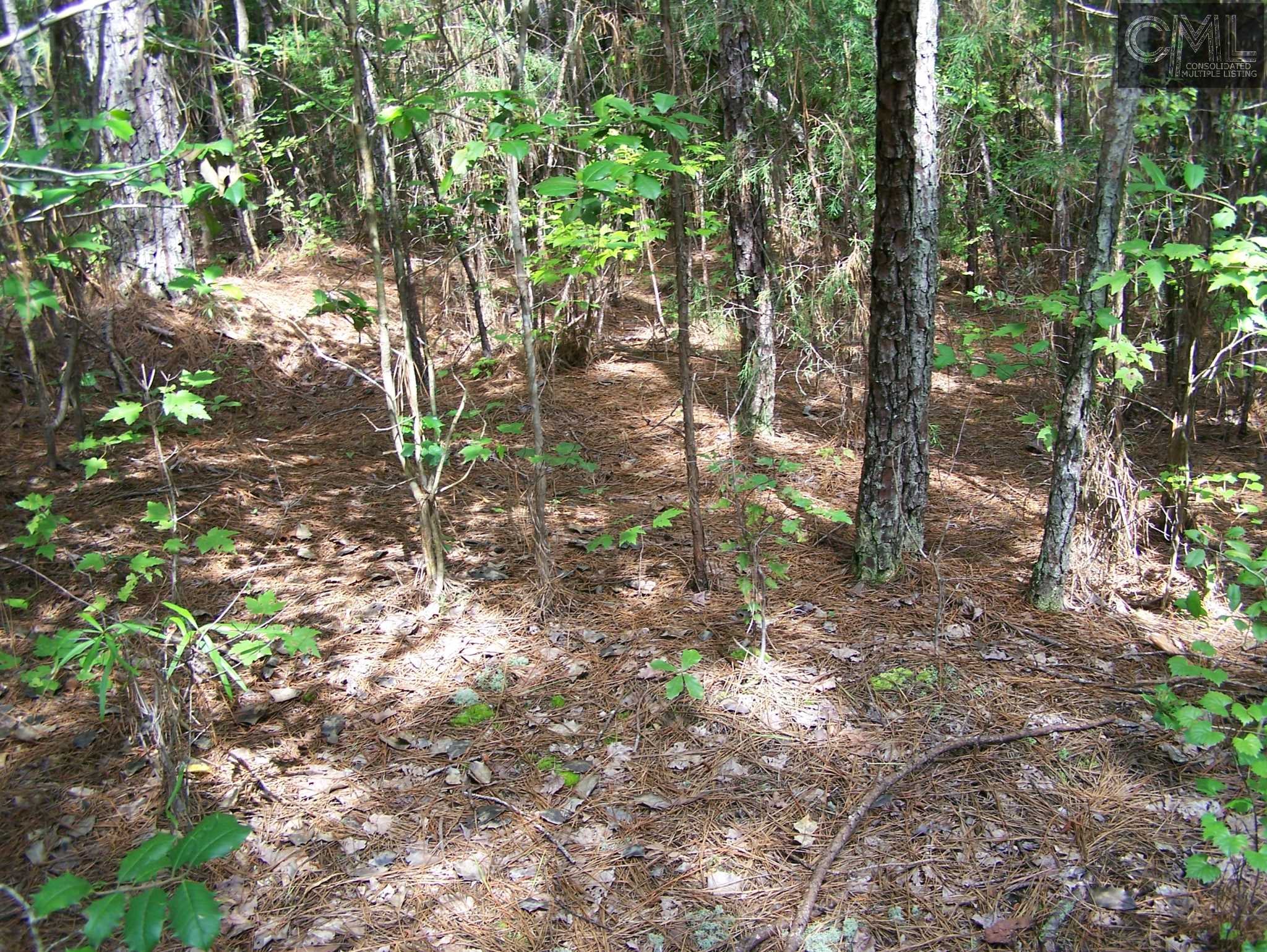 TBD WILDFLOWER Road, Blythewood, SC 29016