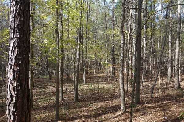 1146 FRICK Road, Blythewood, SC 29016