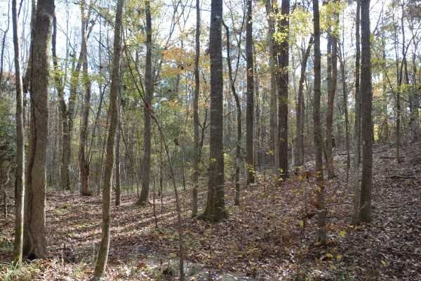 1146 FRICK Road, Blythewood, SC 29016
