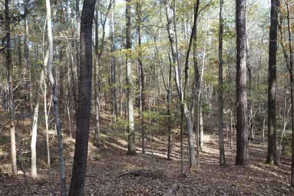 1146 FRICK Road, Blythewood, SC 29016