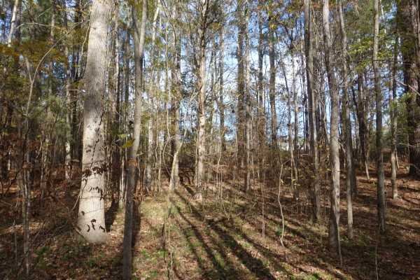 1146 FRICK Road, Blythewood, SC 29016