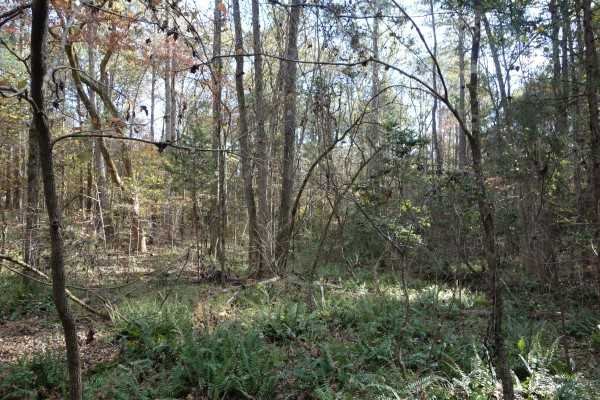1146 FRICK Road, Blythewood, SC 29016
