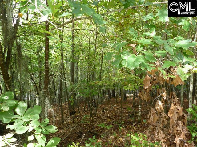 1565 Wild Turkey Road, Camden, SC 29020