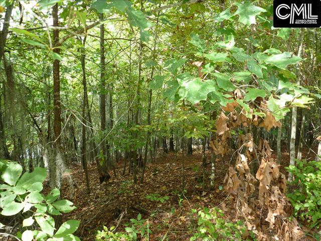 1565 Wild Turkey Road, Camden, SC 29020
