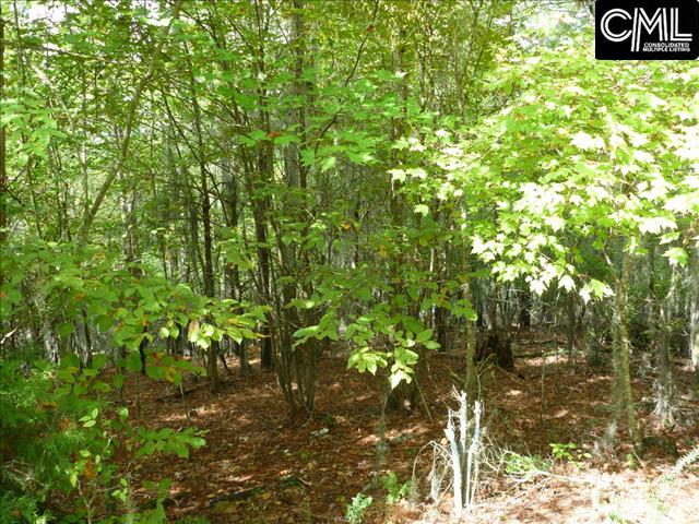1565 Wild Turkey Road, Camden, SC 29020