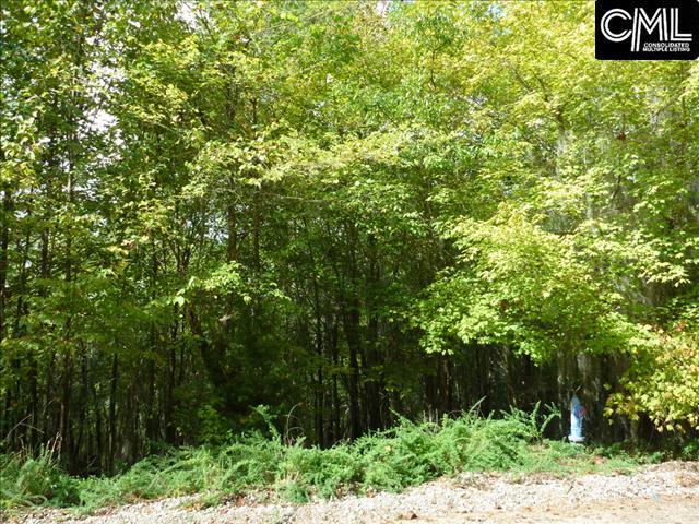 1565 Wild Turkey Road, Camden, SC 29020