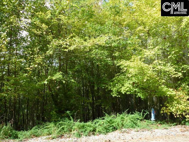 1565 Wild Turkey Road, Camden, SC 29020
