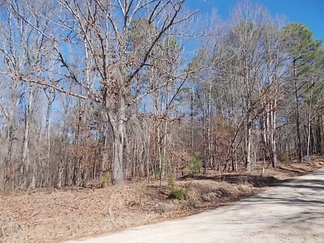 1544 Wild Turkey Road, Camden, SC 29020