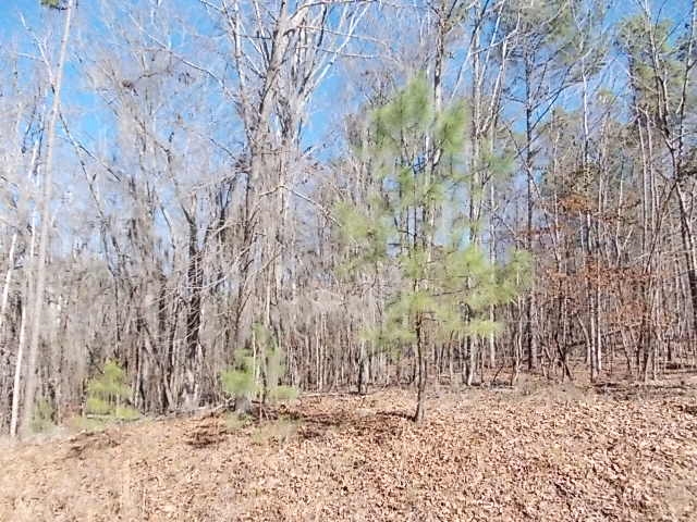 1544 Wild Turkey Road, Camden, SC 29020