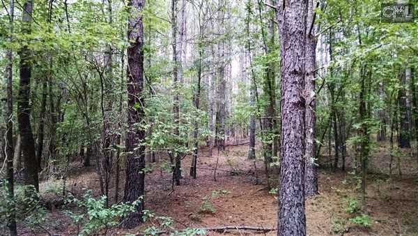 0 ASHFORD FERRY Road, Carlisle, SC 29031